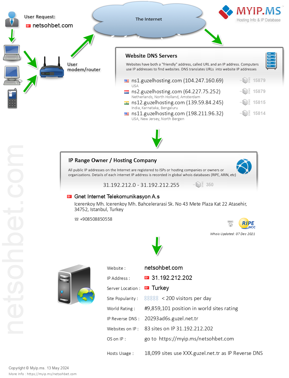 Netsohbet.com - Website Hosting Visual IP Diagram