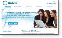 Bodis, LLC - Site Screenshot