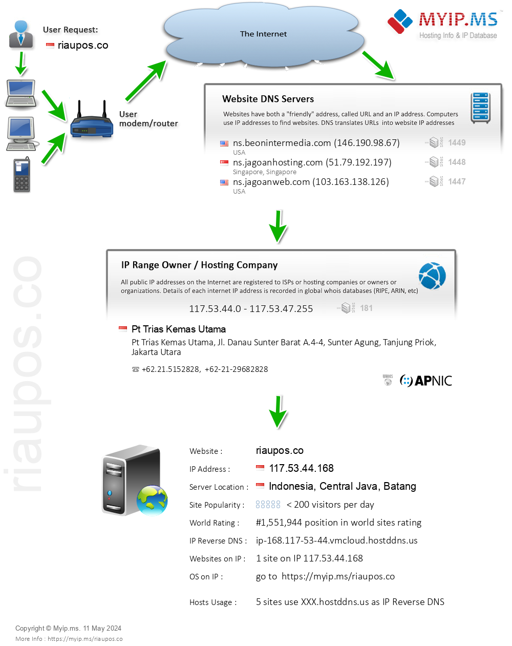 Riaupos.co - Website Hosting Visual IP Diagram