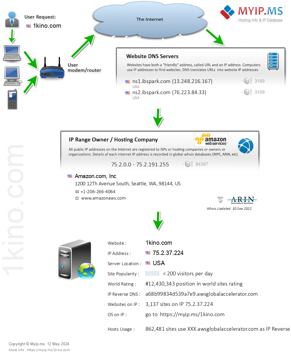 1kino.com - Website Hosting Visual IP Diagram