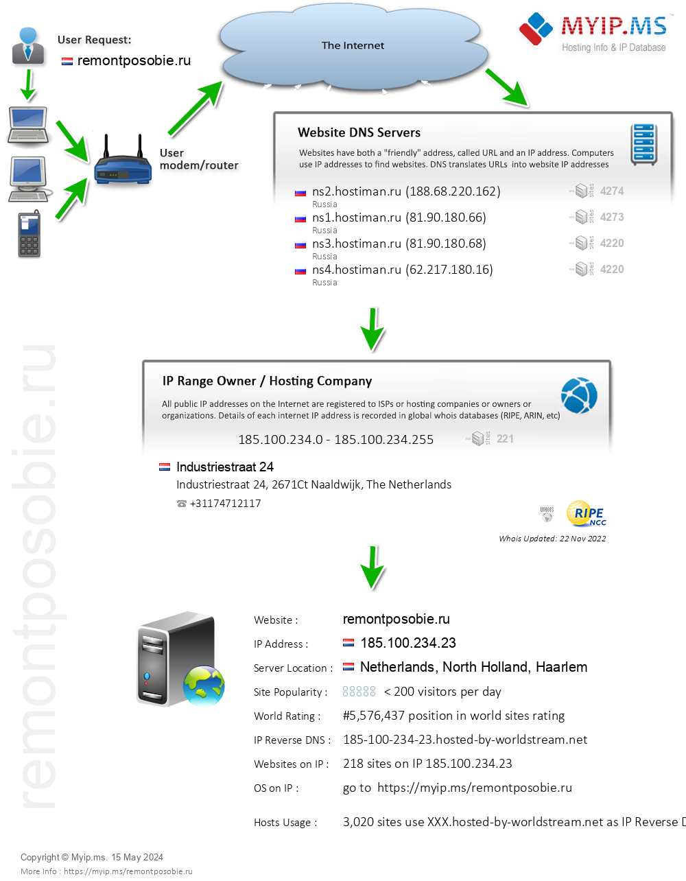 Remontposobie.ru - Website Hosting Visual IP Diagram